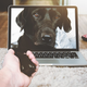 Illustration for article titled Data Loss from the SD Card of Your Camera: Reasons and Ways to Get Those Precious Pictures Backem/em